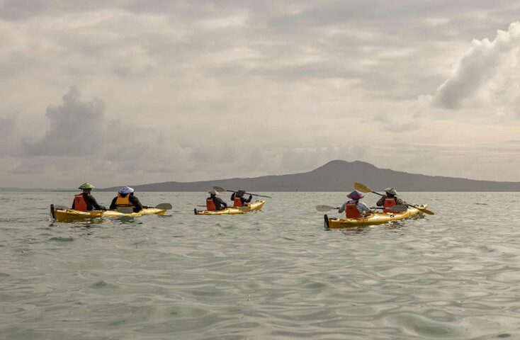 Sea Kayaking to Waiheke